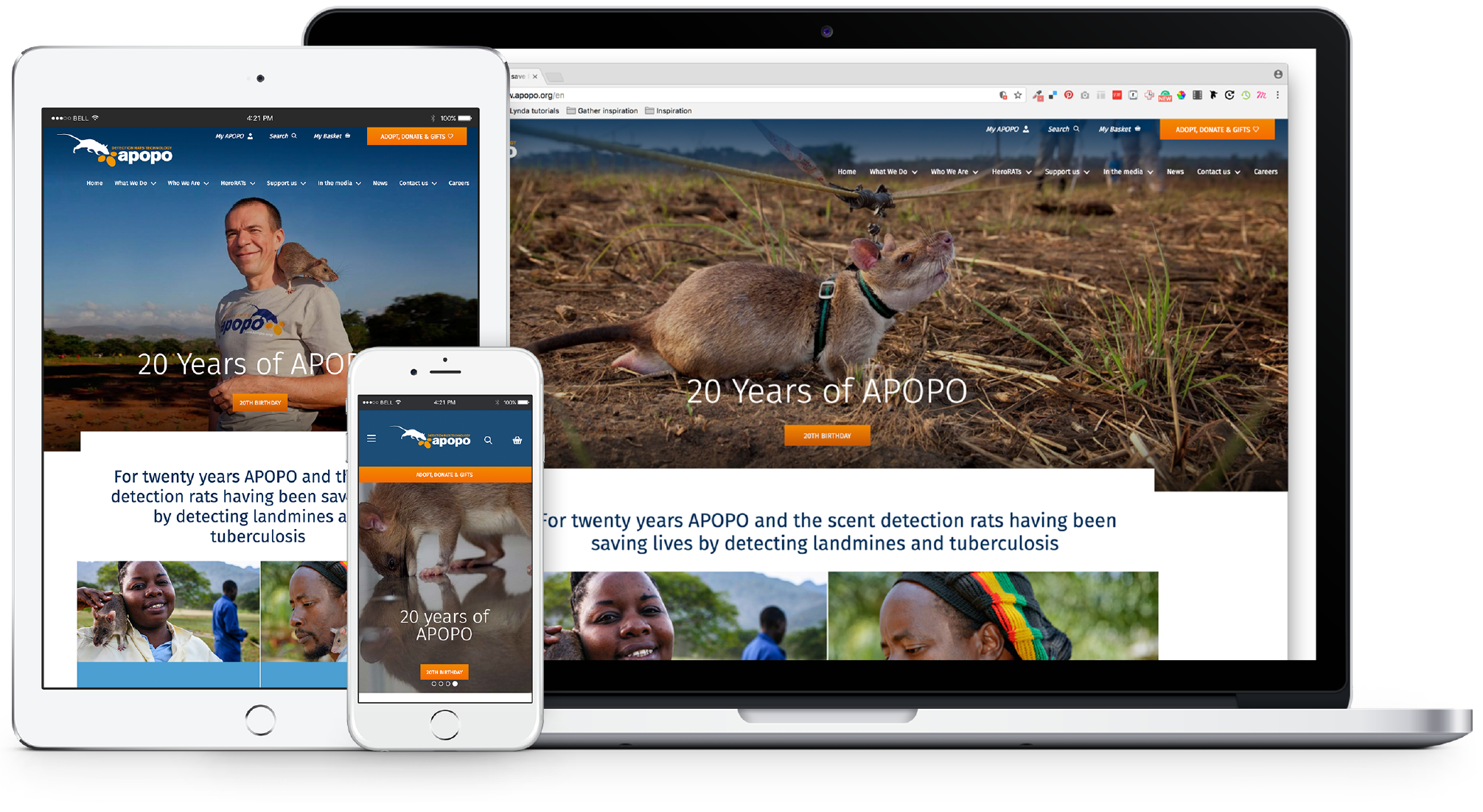 APOPO Responsive Web Design Manchester