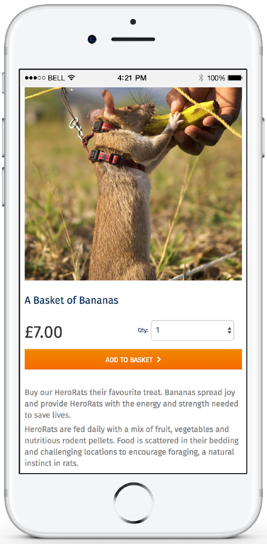APOPO Mobile Website Design