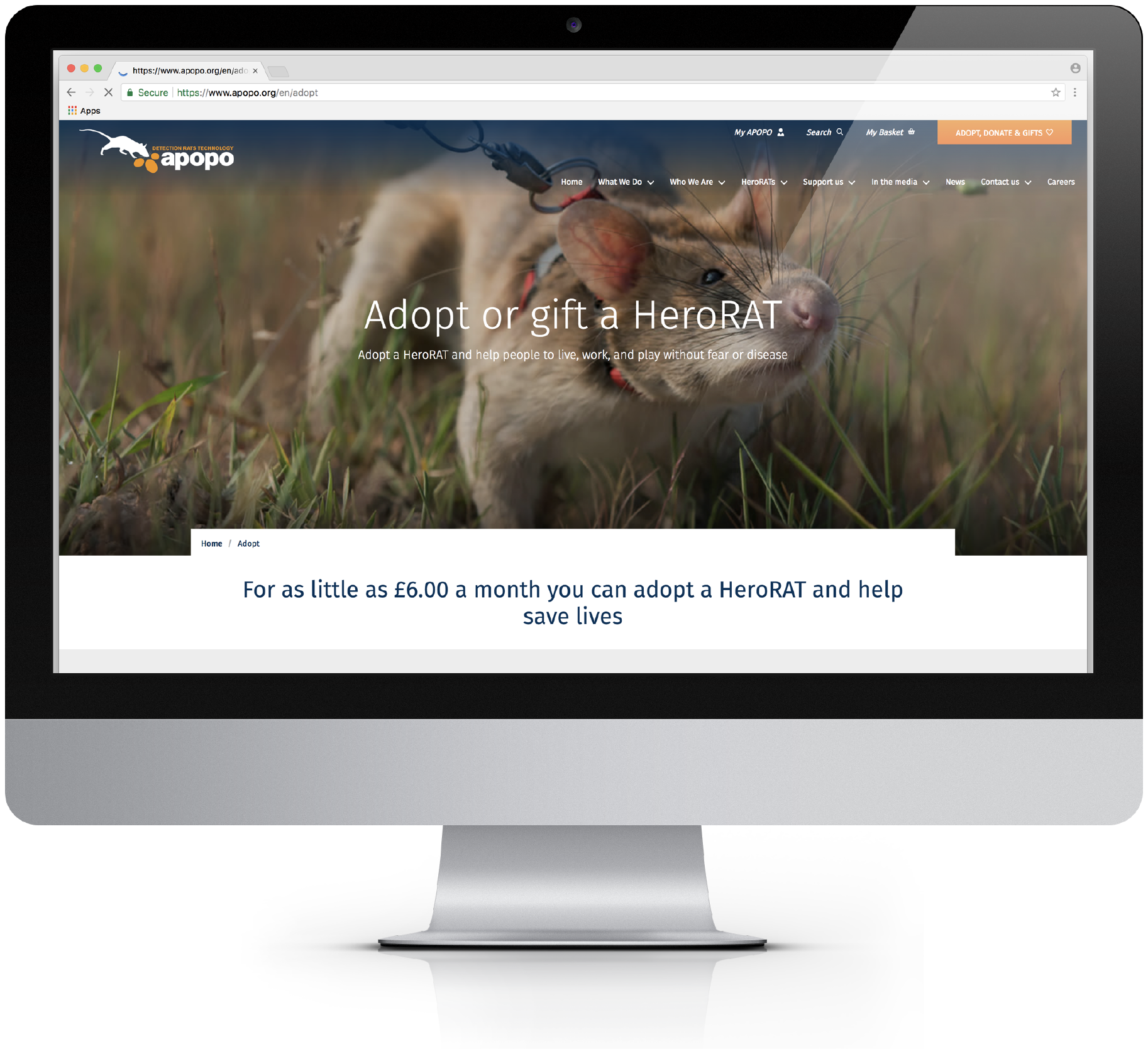 APOPO Mobile Website Design