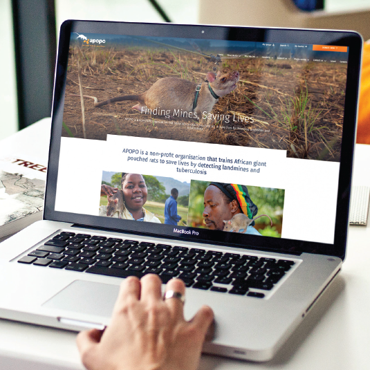 Website Development
